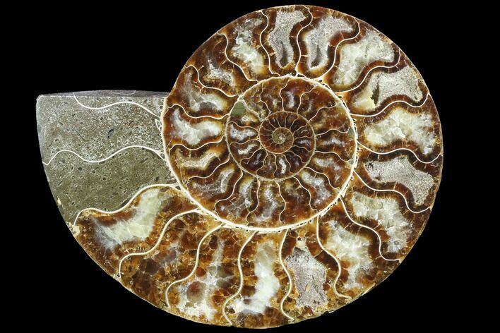 Agatized Ammonite Fossil (Half) - Crystal Chambers #88457